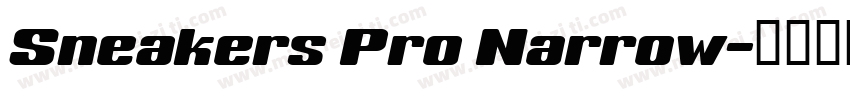 Sneakers Pro Narrow字体转换